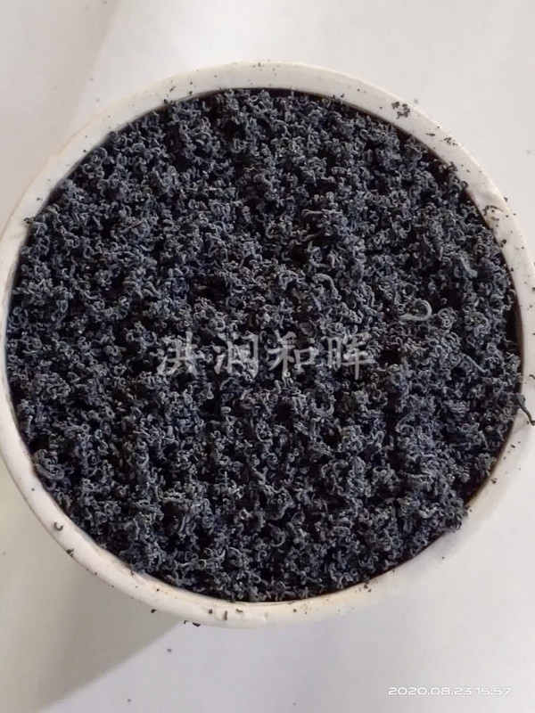 膨脹蠕蟲(chóng)(圖1)